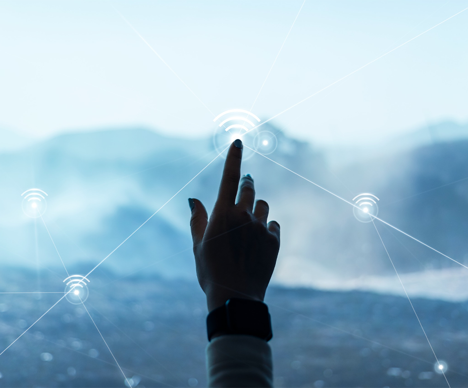 Yazılım çözümleri, Web sitesi kurulumu – Lama Bilişim